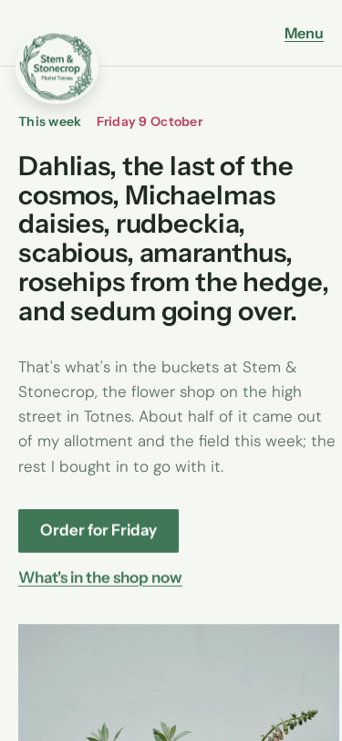 Stem & Stonecrop home page on a phone